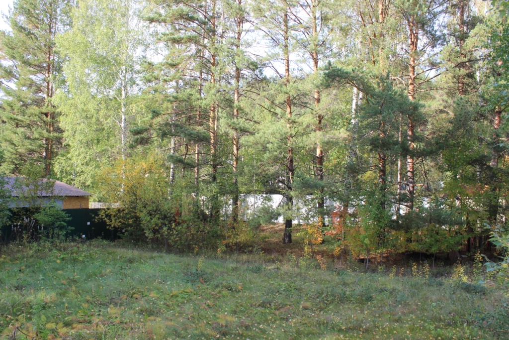 IMG_1869.JPG