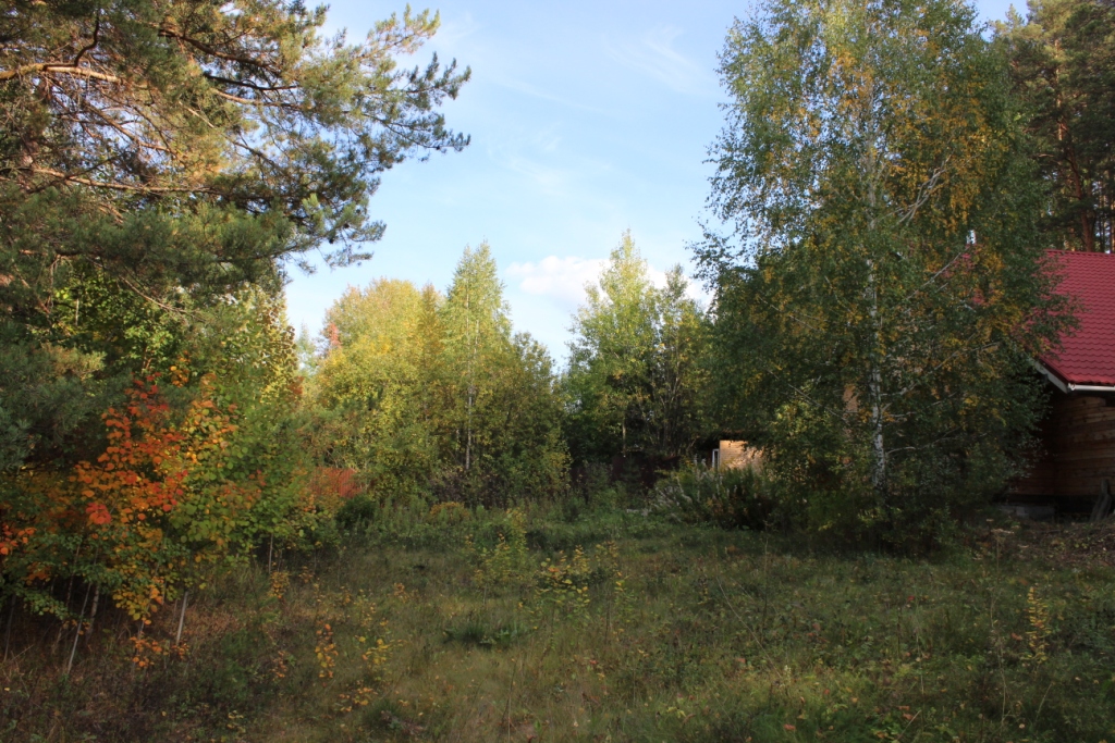 IMG_1877.JPG