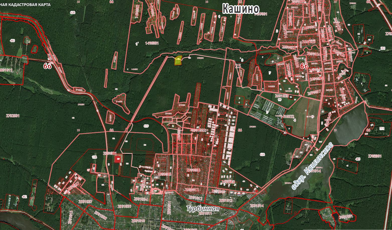 kashino2.5ga3.JPG
