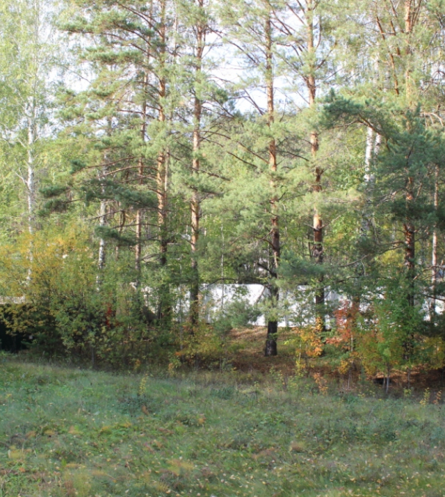 IMG_1869.JPG