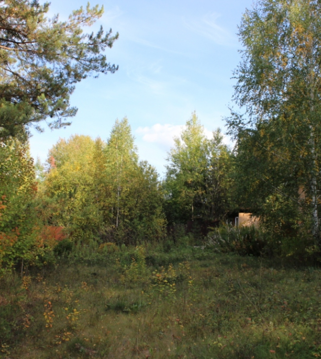 IMG_1877.JPG