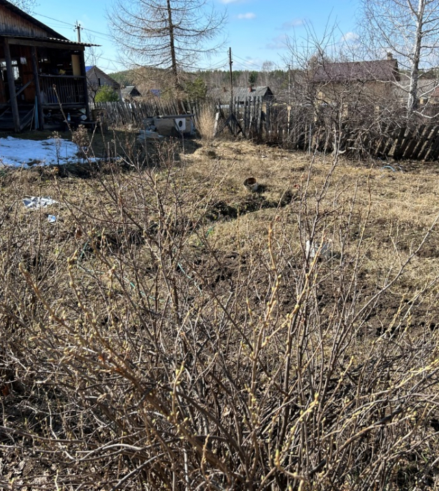 IMG_2868.jpeg