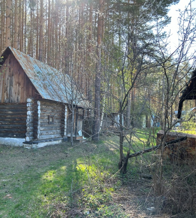 IMG_6251.jpg