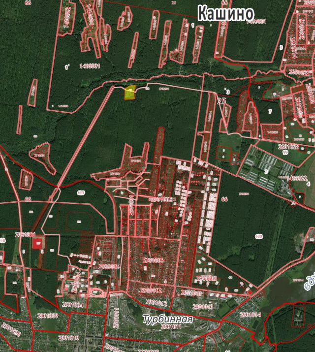 kashino2.5ga3.JPG